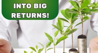 Compounding Magic: How Small Investments Grow Big Over Time